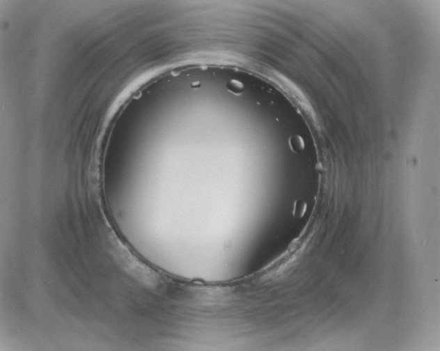 X0000081431192200701261815