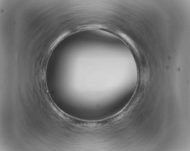 X0000081431193200701261815