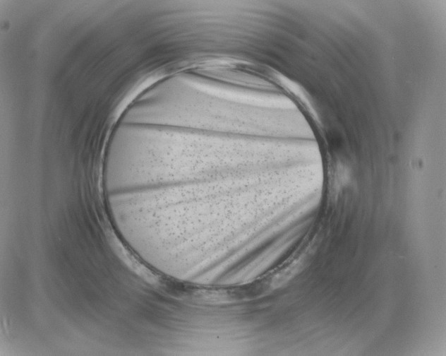 X0000081431194200701261815