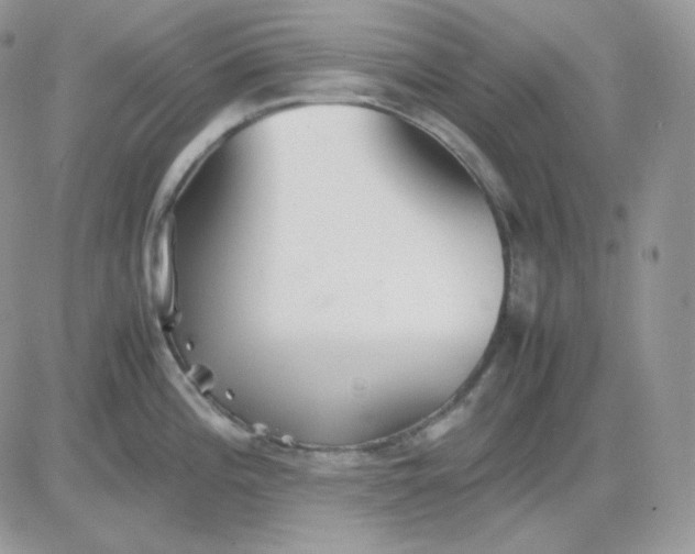 X0000081431196200701261815