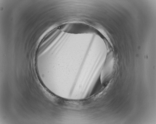 X0000081431197200701261815