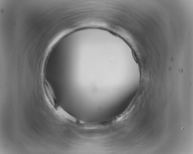 X0000081431199200701261815