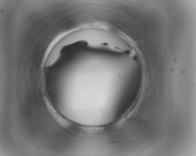 X0000081431200200701261815