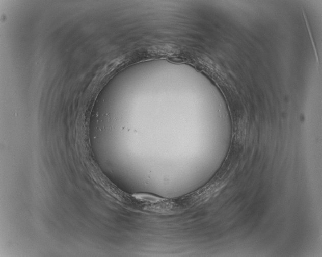 X0000081431201200701261814