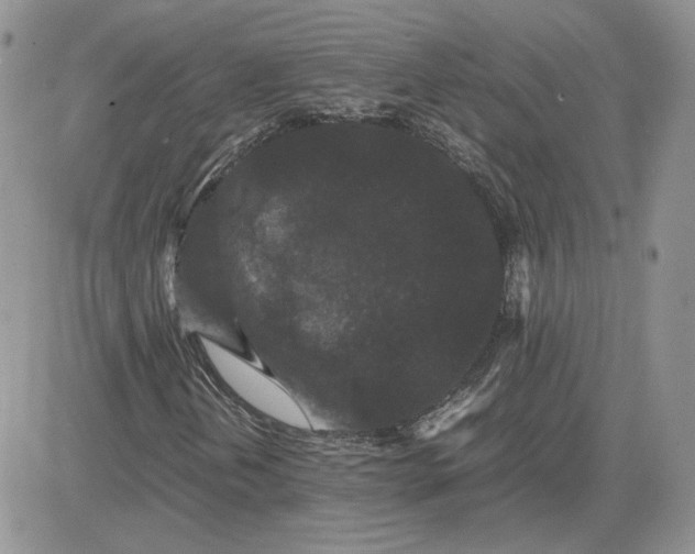 X0000081431202200701261814