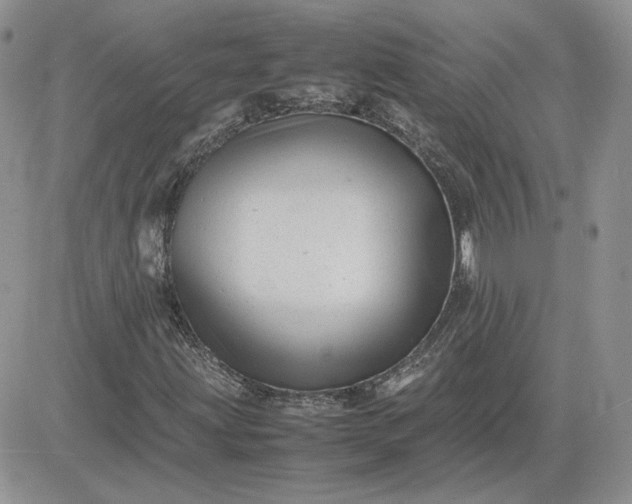 X0000081431203200701261814