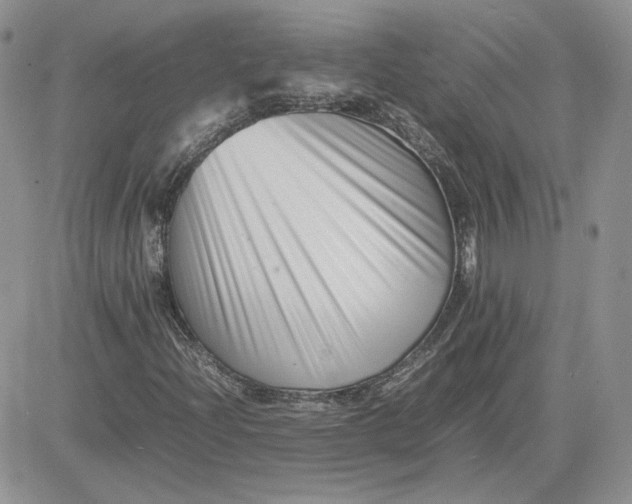 X0000081431204200701261814