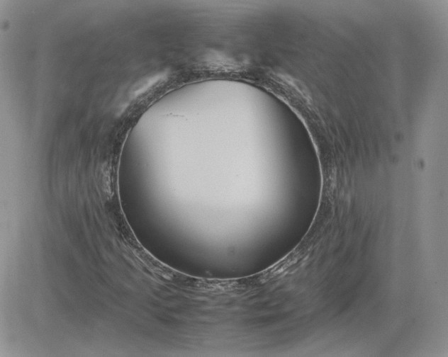 X0000081431205200701261814