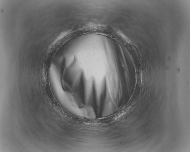 X0000081431206200701261814