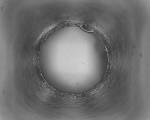 X0000081431207200701261814