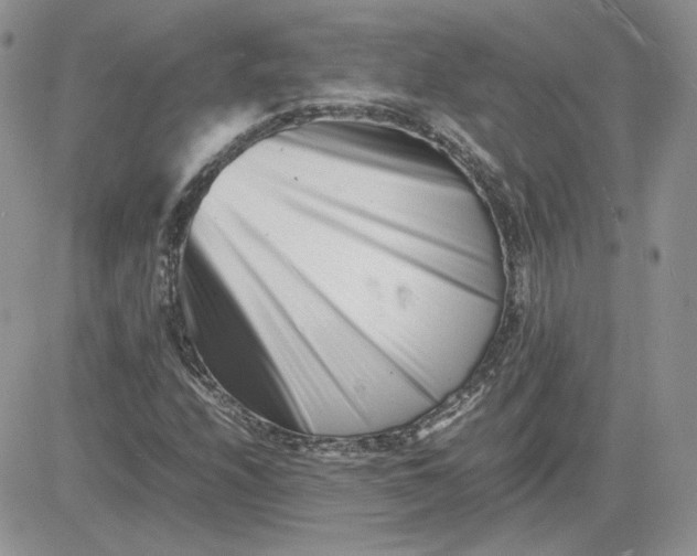 X0000081431208200701261814