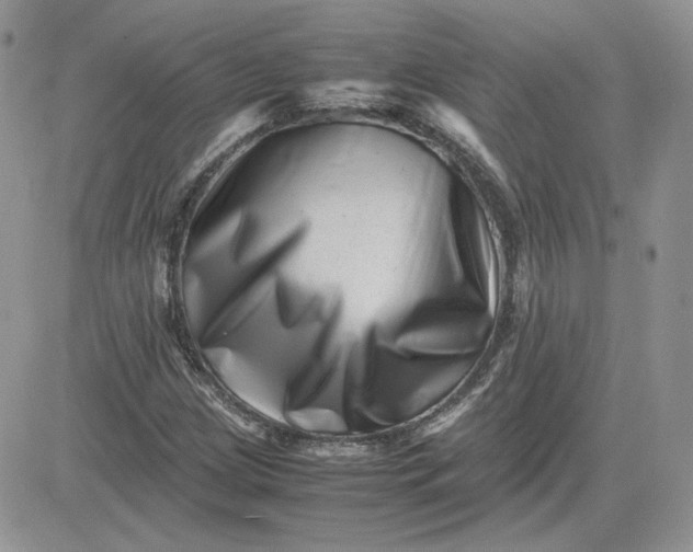 X0000081431209200701261814