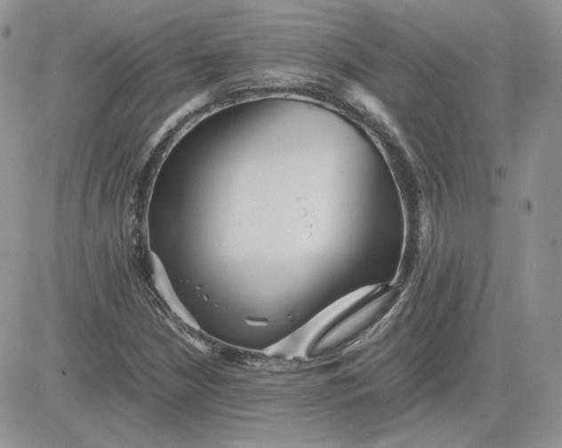 X0000081431210200701261814