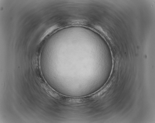 X0000081431211200701261814