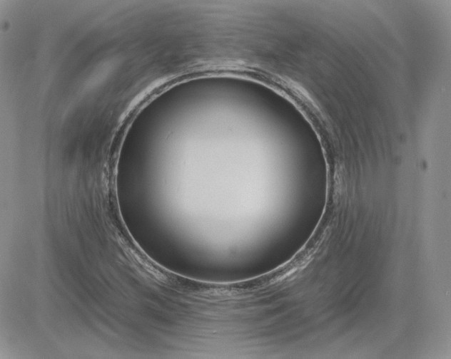 X0000081431212200701261814