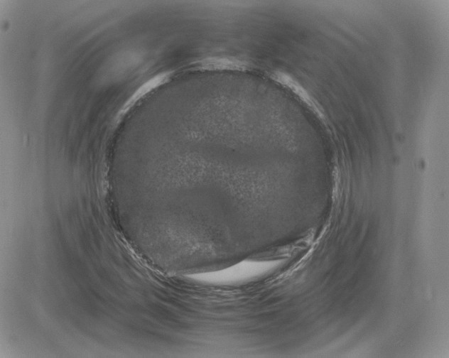 X0000081431213200701261814