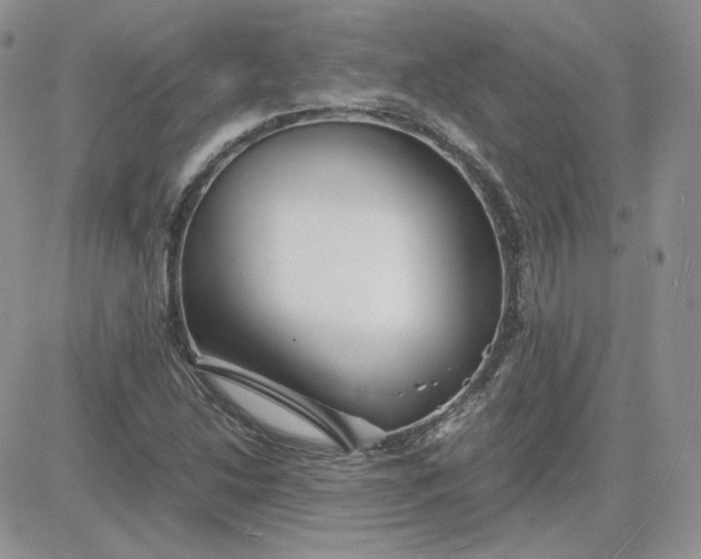 X0000081431214200701261814