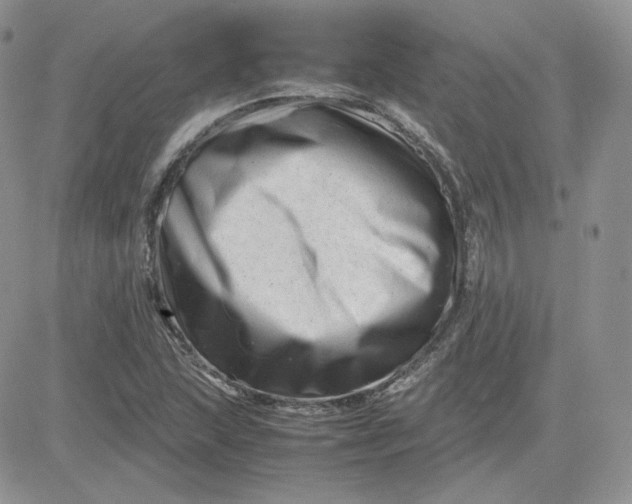 X0000081431215200701261814