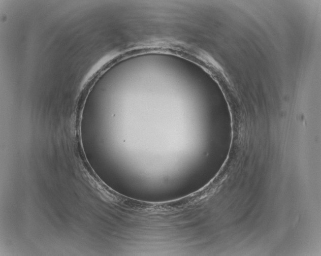 X0000081431216200701261814