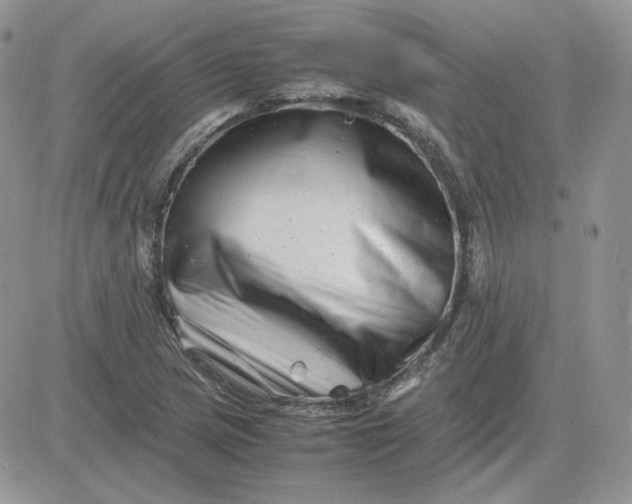 X0000081431217200701261814