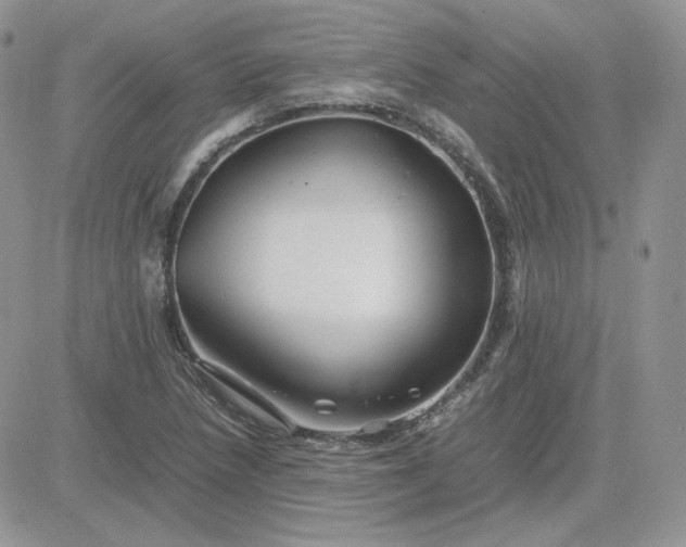 X0000081431218200701261814