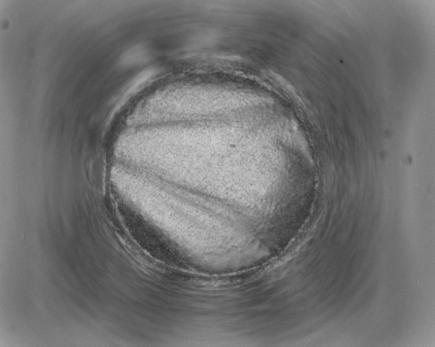 X0000081431219200701261814