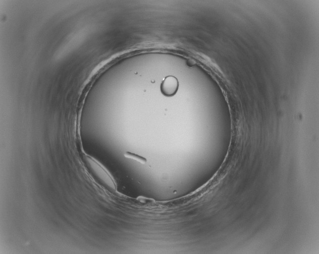 X0000081431220200701261814