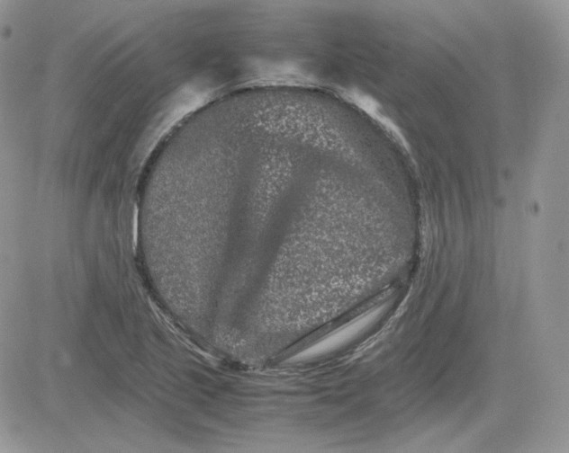 X0000081431221200701261814