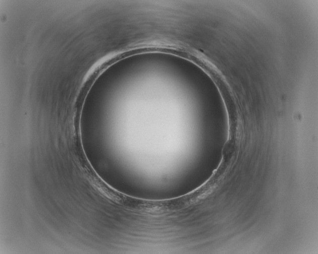 X0000081431222200701261814