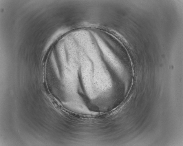 X0000081431223200701261814