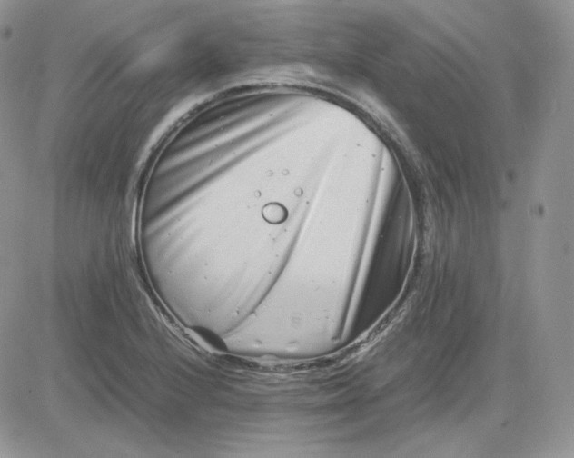 X0000081431224200701261814