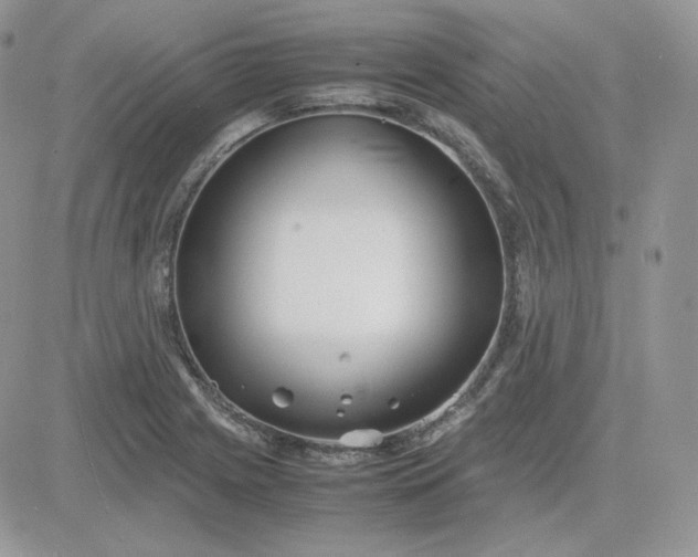 X0000081431225200701261814