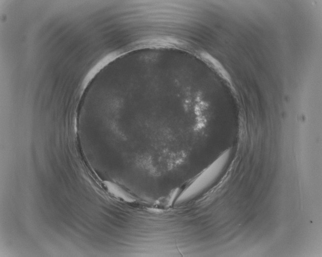 X0000081431226200701261814