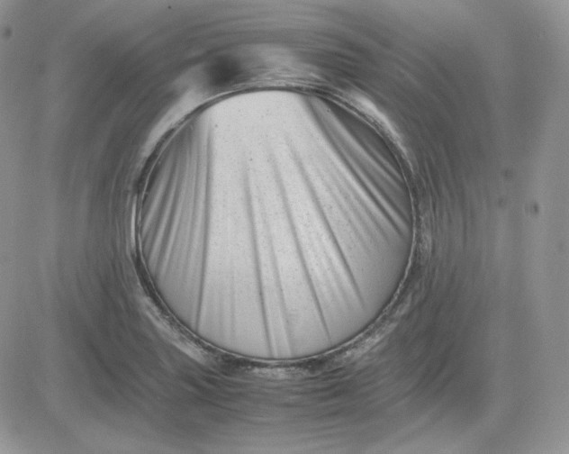 X0000081431227200701261814