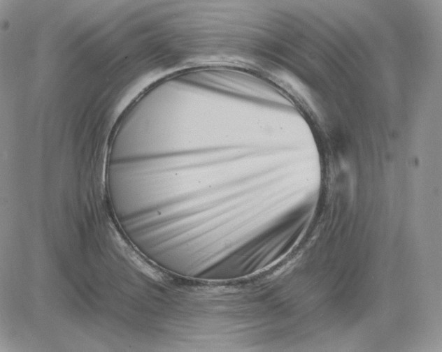 X0000081431228200701261814