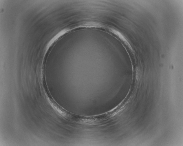 X0000081431229200701261814