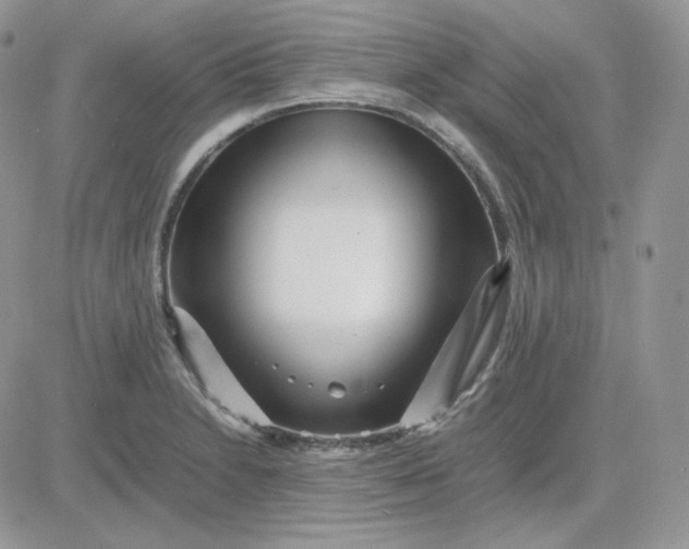 X0000081431230200701261814