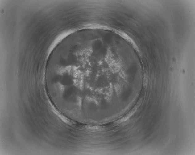 X0000081431231200701261814