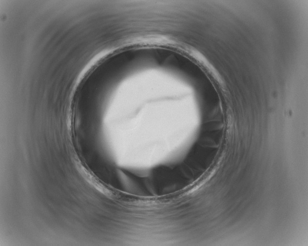 X0000081431232200701261814