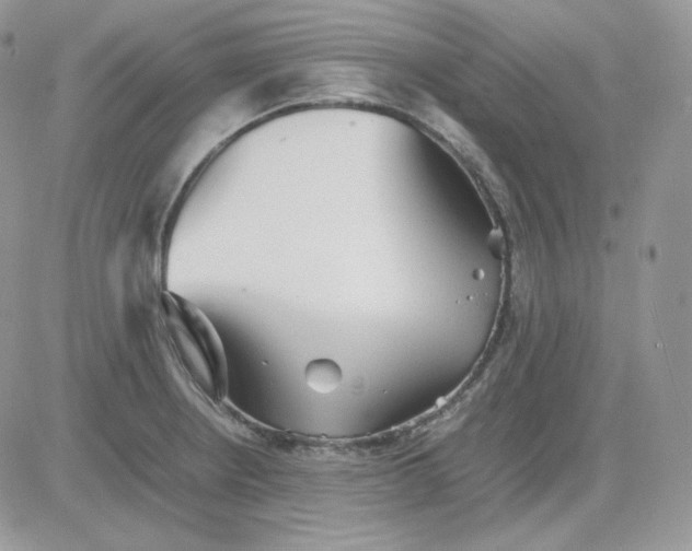 X0000081431234200701261814