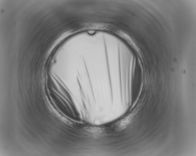 X0000081431235200701261814