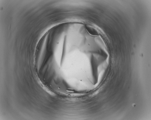 X0000081431236200701261814