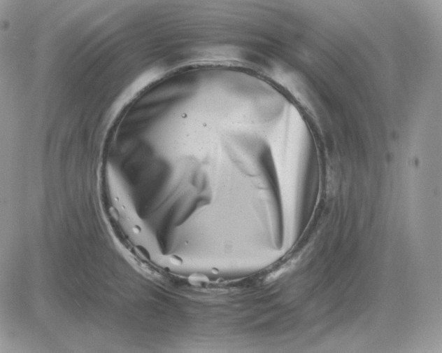 X0000081431237200701261814