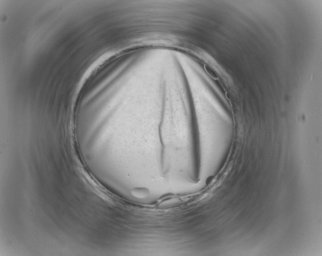 X0000081431240200701261814