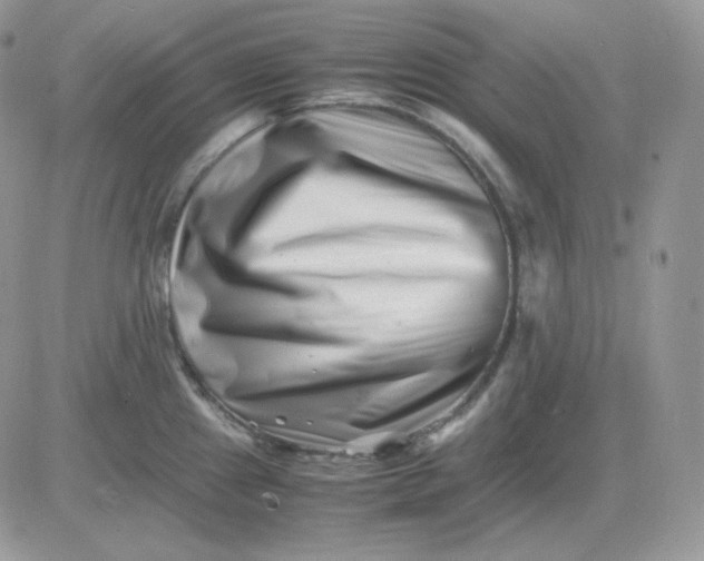 X0000081431241200701261814