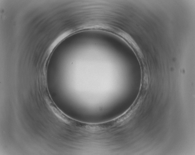 X0000081431242200701261814