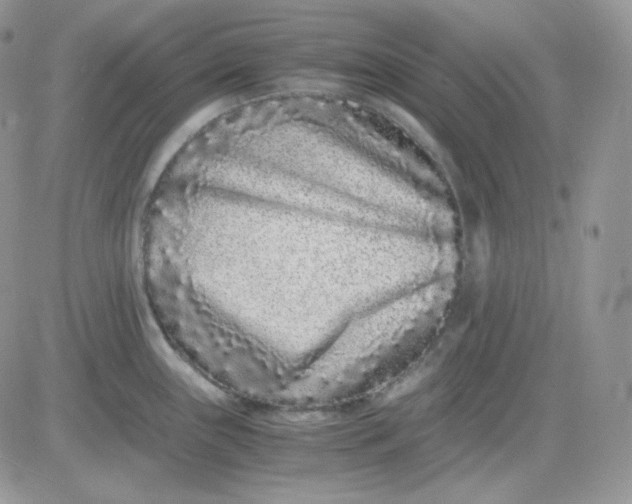 X0000081431243200701261814