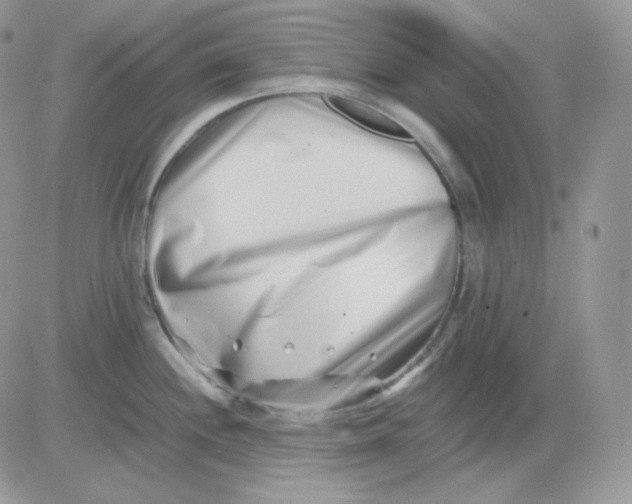 X0000081431244200701261814