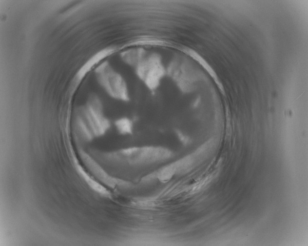 X0000081431245200701261815