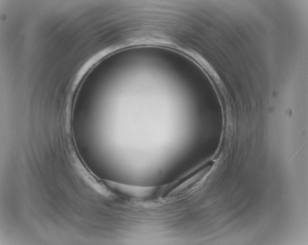 X0000081431246200701261815